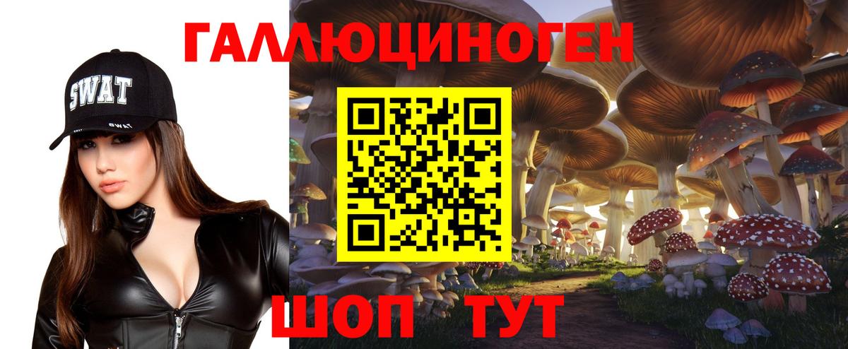 Галлюциногенные грибы Psilocybine cubensis  Вход с VPN  Елизово 