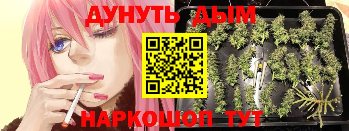 Шишки марихуана семена  МАРИХУАНА индика  Каннабис сатива  Елизово  Вход с VPN 